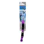 Picture of COLLAR CANINE ROGZ UTILITY NITELIFE Purple - 3/8in x 8-12in