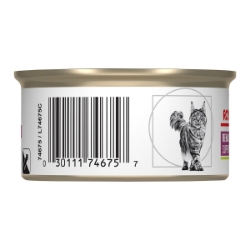 Picture of Royal Canin Veterinary Diet RENAL SUPPORT T Thin Slices In Gravy Wet Cat Food - 24 X 85gm cans