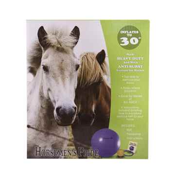 Picture of JOLLY BALL EQUINE JOLLY MEGA BALL Blue - 30in