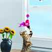 Picture of TOY CAT KONG ACTIVE Window Teaser Assorted Colors (CAT45)