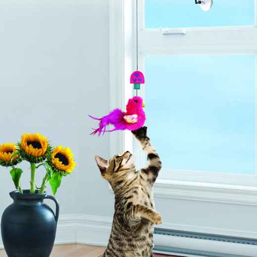 Picture of TOY CAT KONG ACTIVE Window Teaser Assorted Colors (CAT45)