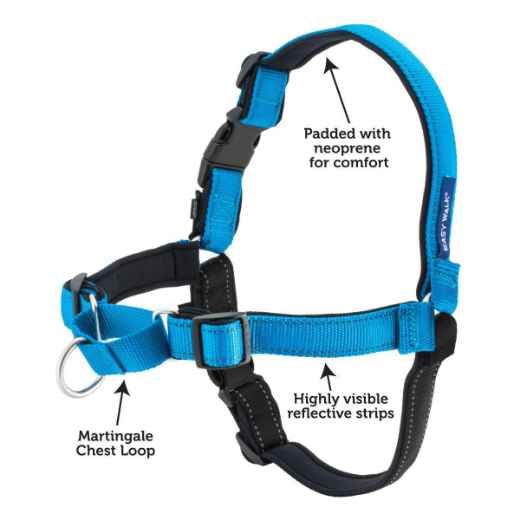 Picture of HARNESS CANINE EASY WALK DELUXE NO PULL Ocean Blue - Small