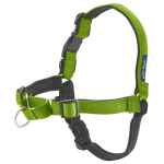 Picture of HARNESS CANINE EASY WALK DELUXE NO PULL Apple Green - Medium