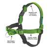 Picture of EASY WALK DELUXE NO PULL HARNESS Medium - Apple Green