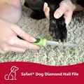 Picture of SAFARI CANINE DIAMOND NAIL FILE (W6112)