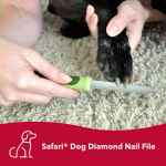 Picture of SAFARI CANINE DIAMOND NAIL FILE (W6112)