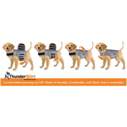 Picture of CLOTHING K/9 Thundershirt Sport (chest 30-37in weight 65-110lbs)Platinum - X Large