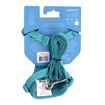 Picture of LEAD AND HARNESS COMBO RC ADVENTURE KITTY Medium - Teal