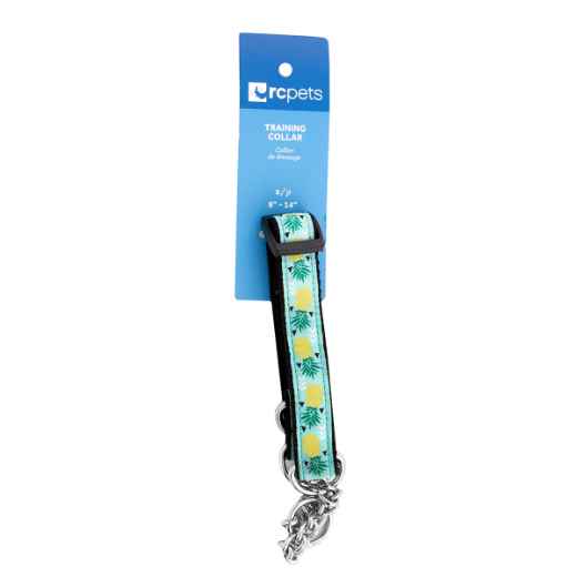 Picture of COLLAR CANINE RC Training Adjustable Pineapple Parade - 3/4in x 9-14in