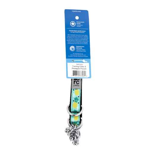 Picture of COLLAR CANINE RC Training Adjustable Pineapple Parade - 3/4in x 9-14in