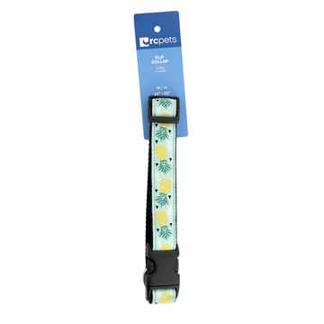 Picture of COLLAR RC CLIP Adjustable Pineapple Parade - 1in x 12-20in