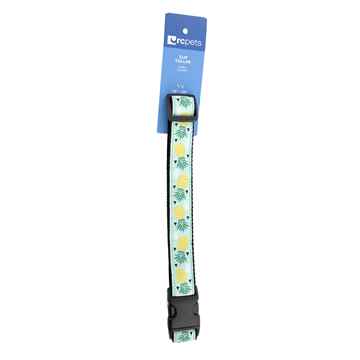 Picture of COLLAR RC CLIP Adjustable Pineapple Parade - 1in x 15-25in