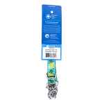 Picture of COLLAR RC Training Adjustable Pineapple Parade - 5/8in x 7-9in