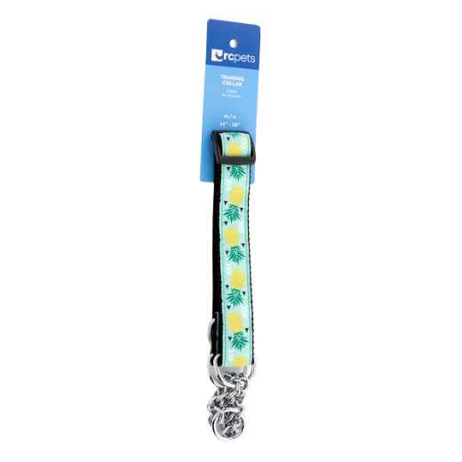 Picture of COLLAR CANINE RC Training Adjustable Pineapple Parade  - 1in x 14-20in