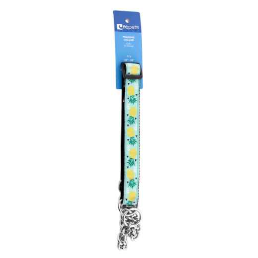 Picture of COLLAR CANINE RC Training Adjustable Pineapple Parade - 1in x 18-26in