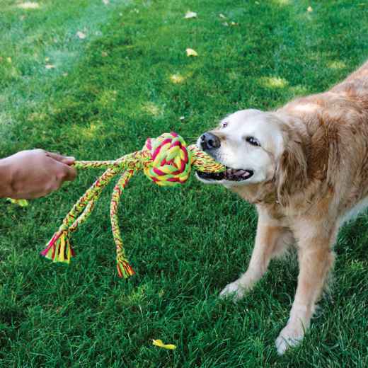 Picture of TOY DOG KONG WUBBA WEAVES with ROPE Assorted Colors - Large