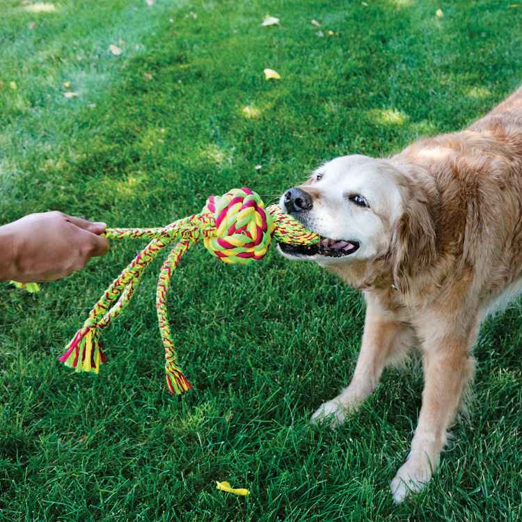 Picture of TOY DOG KONG Wubba Weaves with Rope Assorted Colors - Large