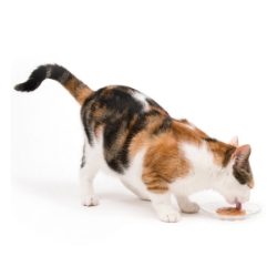 Picture of TREAT CATIT CREAMY LICKABLES Assorted Flavors - 12 x 15g