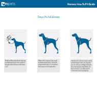 Picture of HARNESS CANINE RC TEMPO NO PULL Small - Heather Azalea