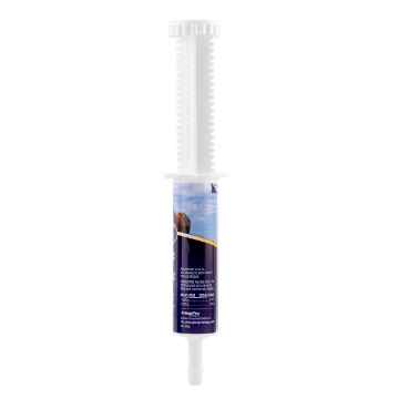 Show details for EQUINE CHOICE PREBIOTIC + PROBIOTIC PASTE - 2.7oz / 80ml Picture of EQUINE CHOICE PREBIOTIC + PROBIOTIC PASTE - 2.7oz / 80ml