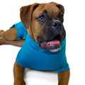 Picture of RECOVERY SUIT VetMedWear MALE/DOG - XX Small