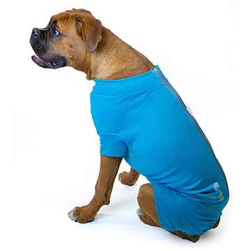 Picture of RECOVERY SUIT VetMedWear MALE/DOG - X Small