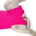 Picture of RECOVERY SUIT VetMedWear FEMALE/DOG and CAT - XX Small