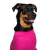 Picture of RECOVERY SUIT VetMedWear FEMALE/DOG and CAT - X Small 