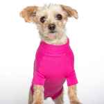 Picture of RECOVERY SUIT VetMedWear FEMALE/DOG and CAT - Small