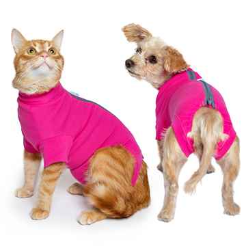 Picture of RECOVERY SUIT VetMedWear FEMALE/DOG and CAT - Large
