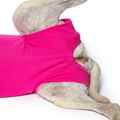 Picture of RECOVERY SUIT VetMedWear FEMALE/DOG and CAT - XXX Large