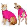 Picture of RECOVERY SUIT VetMedWear FEMALE/DOG and CAT - XXXX Large