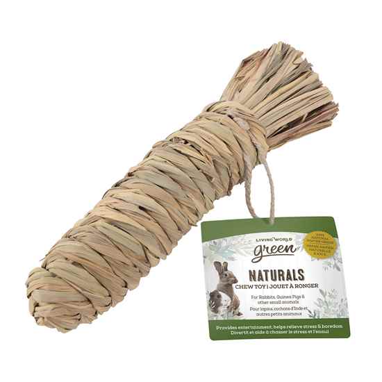 Picture of LIVING WORLD GREEN NATURALS CHEW TOY - Carrot