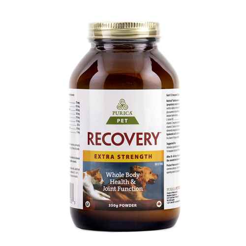 Picture of RECOVERY NUTRACEUTICAL XSTRENGTH CANINE/FELINE POWDER - 350gm