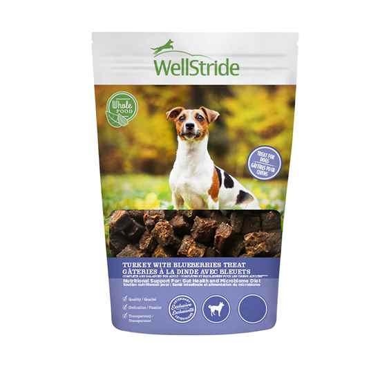 Picture of CANINE RAYNE TURKEY WITH BLUEBERRIES TREATS - 255g