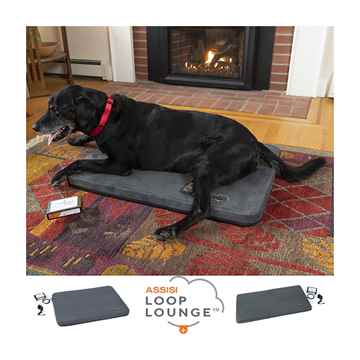 Picture of ASSISI LOOP LOUNGE MEDIUM (LL-SYSTEM-M)
