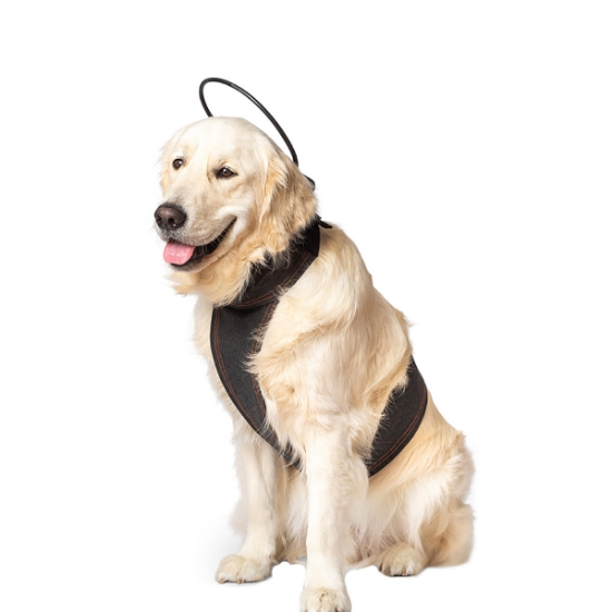 Picture of ASSISI CALMER CANINE BUNDLE LARGE (CC-BNDL-L-L)