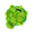 Picture of TOY DOG ZIPPY PAWS SQUEAKIE CRAWLERS - Turtle