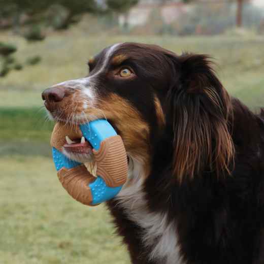 Picture of TOY DOG KONG CoreStrength Bamboo Ring - Large