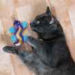 Picture of TOY CAT KONG Better Buzz Gecko