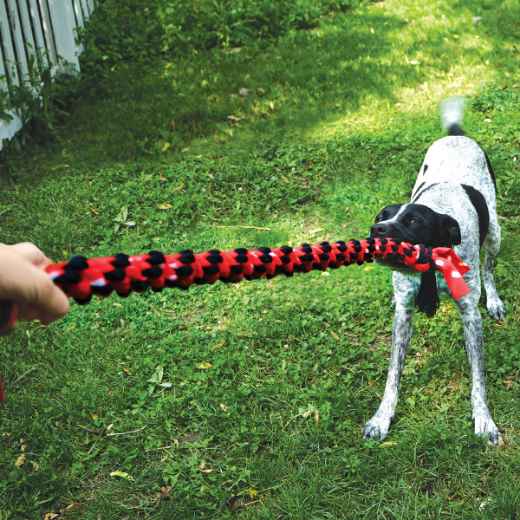 Picture of TOY DOG KONG Signature Rope Dual Knot with Ball