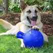 Picture of TOY DOG JOLLY BALL TUG N TOSS Blue - 4.5in