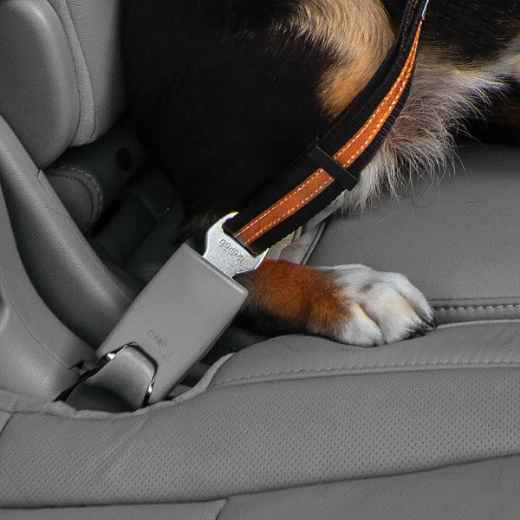 Picture of SEATBELT TETHER KURGO Direct to Seatbelt - Black/Orange