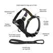 Picture of HARNESS KURGO Enhanced Strength Tru-Fit with Tether Black - Small