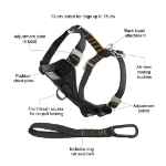 Picture of HARNESS CANINE KURGO Enhanced Strength Tru-Fit with Tether Black - Small