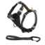 Show details for HARNESS CANINE KURGO Enhanced Strength Tru-Fit with Tether Black  - Large Picture of HARNESS CANINE KURGO Enhanced Strength Tru-Fit with Tether Black  - Large