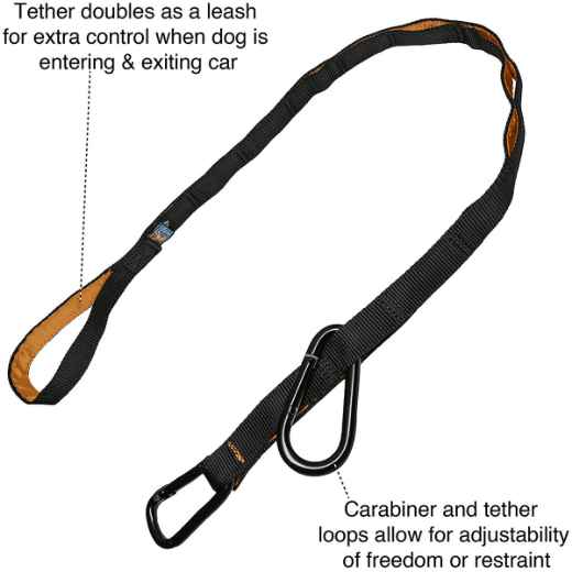 Picture of AUTO ZIP LINE KURGO with Leash/Teather - Black/Orange