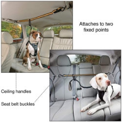 Picture of AUTO ZIP LINE CANINE KURGO with Leash/Teather - Black/Orange