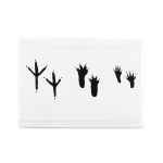 Picture of SYMPATHY CARDS W/ENV Exotic Animals 4in x 6in - 10/pk