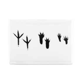 Show details for SYMPATHY CARDS W/ENV Exotic Animals 4in x 6in - 10/pk Picture of SYMPATHY CARDS W/ENV Exotic Animals 4in x 6in - 10/pk